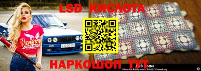 мет Кингисепп