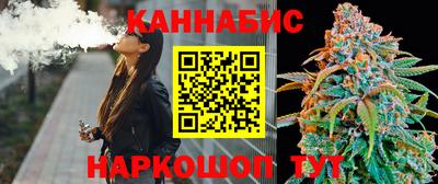 мет Кингисепп